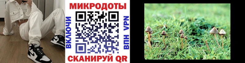 Псилоцибиновые грибы прущие грибы  закладки  площадка клад  Асино 